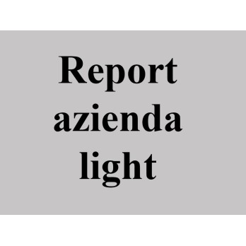 Report Azienda Light, Camera di Commercio