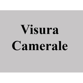 Visura Camerale, Camera di Commercio
